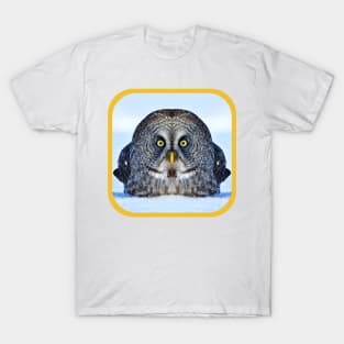 Chonky Owl T-Shirt